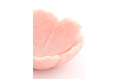 Dish 25,5x24x9,5 cm FRESIA pink