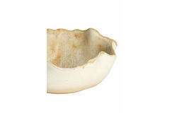 Dish Ø26x10,5 cm GASPAR ceramics cream+rust