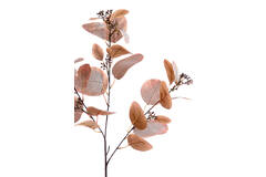 Artificial flower 25x10x84 cm EUCALYPTO dark brown-grey