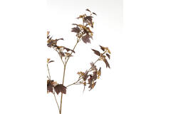 Artificial flower 20x10x110 cm MAPLE burgundy-dark brown