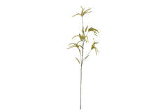 Artificial flower 20x10x120 cm PIPERALES green
