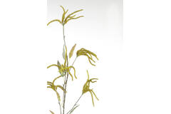 Artificial flower 20x10x120 cm PIPERALES green