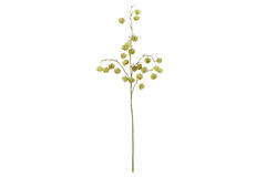 Artificial flower 20x10x100 cm PHYSALIS light green