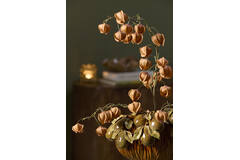 Artificial flower 20x10x100 cm PHYSALIS terra-orange