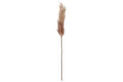 Artificial flower 10x10x96 cm PAMPAS eggplant-sand
