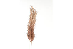 Artificial flower 10x10x96 cm PAMPAS eggplant-sand