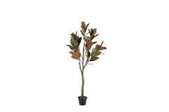 Artificial tree Ø55x150 cm MAGNOLIA green+brown