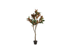 Artificial tree Ø55x150 cm MAGNOLIA green+brown