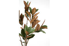Artificial tree Ø55x150 cm MAGNOLIA green+brown
