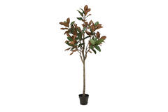 Artificial tree Ø60x180 cm MAGNOLIA green+brown