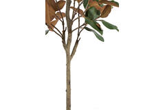 Artificial tree Ø60x180 cm MAGNOLIA green+brown
