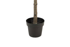 Artificial tree Ø60x180 cm MAGNOLIA green+brown
