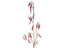Artificial flower 20x5x110 cm POLYGONUM dark pink
