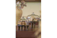Dish Ø20,5x24 cm BIA mango wood antique brown+glass clear