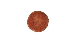 Kussen Ø40 cm BEREND karamel