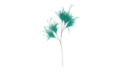 Ornament 5 feathers 95 cm FEATHER mint green