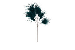 Ornament 8 veren 95 cm FEATHER emerald