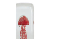 Ornament 5,5x5,5x13 cm JELLYFISH glass coral