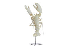 Ornament op voet 25x14x56,5 cm LOBSTER gebroken wit