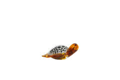 Ornament 15,5x14,5x7 cm TURTLE glas amber+wit-zwart