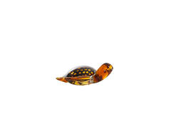 Ornament 15,5x14,5x7 cm TURTLE glas amber+amber-zwart