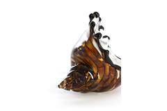 Ornament 22x10x12 cm SHELL glass brown-bronze+white