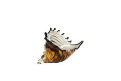 Ornament 28x12x16 cm SHELL glas bruin-brons+wit