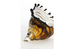 Ornament 28x12x16 cm SHELL glas bruin-brons+wit