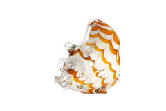 Ornament 28x12x16 cm SHELL glass white+caramel