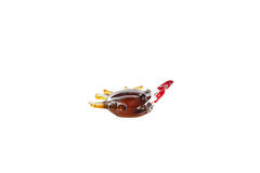 Ornament 20x5x6 cm CRAB glas bruin