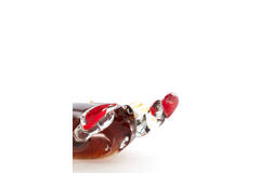 Ornament 20x5x6 cm CRAB glas bruin