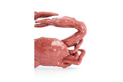 Ornament 29x29x6,5 cm CRAB keramiek koraal