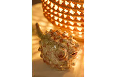 Ornament 20x11,5x11,5 cm FISH ceramics cream+red+yellow