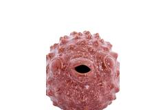 Ornament 20x11,5x11,5 cm FISH ceramics coral