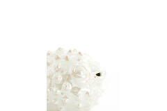 Ornament 20x11,5x11,5 cm FISH ceramics cream pearl
