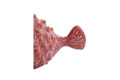 Ornament 25,5x14,5x14 cm FISH keramiek koraal
