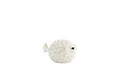 Ornament 25,5x14,5x14 cm FISH ceramics cream pearl