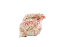 Ornament 30x15x11,5 cm SHELL keramiek crème+rood+geel