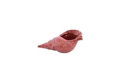 Ornament 30x15x11,5 cm SHELL keramiek koraal