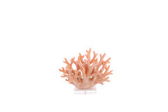 Ornament 19,5x8,5x15,5 cm CORAL licht roze