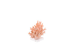 Ornament 19,5x8,5x15,5 cm CORAL licht roze