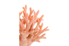 Ornament 19,5x8,5x15,5 cm CORAL licht roze