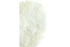 Ornament on base 46x20x69 cm CORAL cream+antique bronze