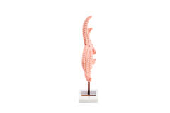 Ornament on base 28x8x36 cm STARFISH light pink+marble white