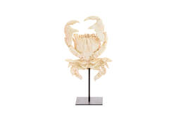 Ornament op voet 23x12,5x42,5 cm CRAB licht koraal