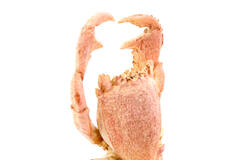 Ornament op voet 23x12,5x42,5 cm CRAB licht koraal
