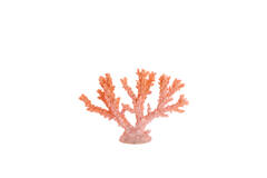 Ornament 34,5x9,5x25 cm CORAL coral
