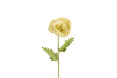 Artificial flower 15x15x57 cm CATO paper green+yellow