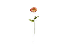 Artificial flower 15x15x57 cm CATO paper green+peach