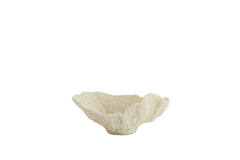 Ornament 25x23x11 cm CORAL cream